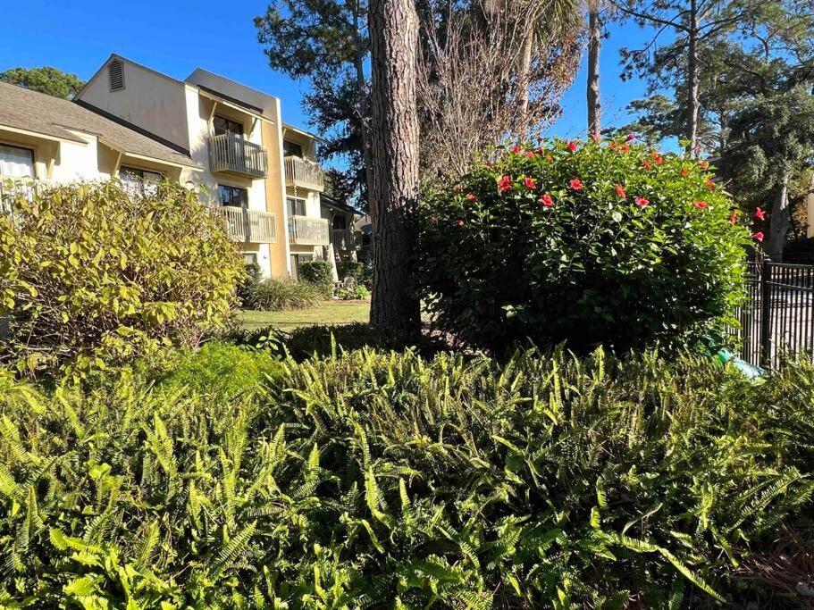 Spacious, Cozy Villa W/Parking In Coligny Villas Hilton Head Island Exteriér fotografie