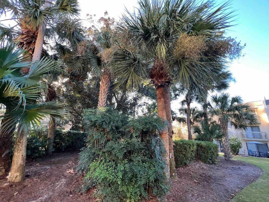 Spacious, Cozy Villa W/Parking In Coligny Villas Hilton Head Island Exteriér fotografie
